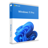 Windows 10/11 Pro Windows 10/11 Pro
