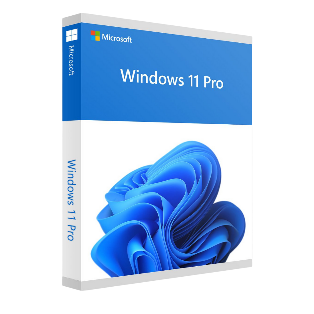 Windows 10/11 Pro